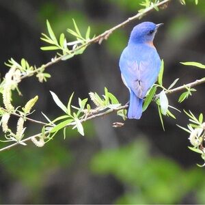 Photos, original prints by Donna